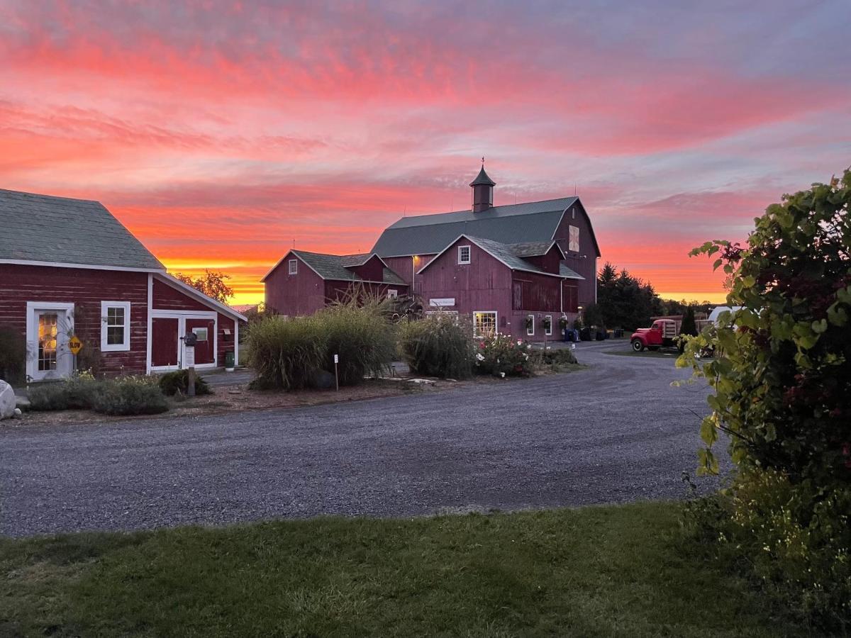 Hotel The Eddie And Farm