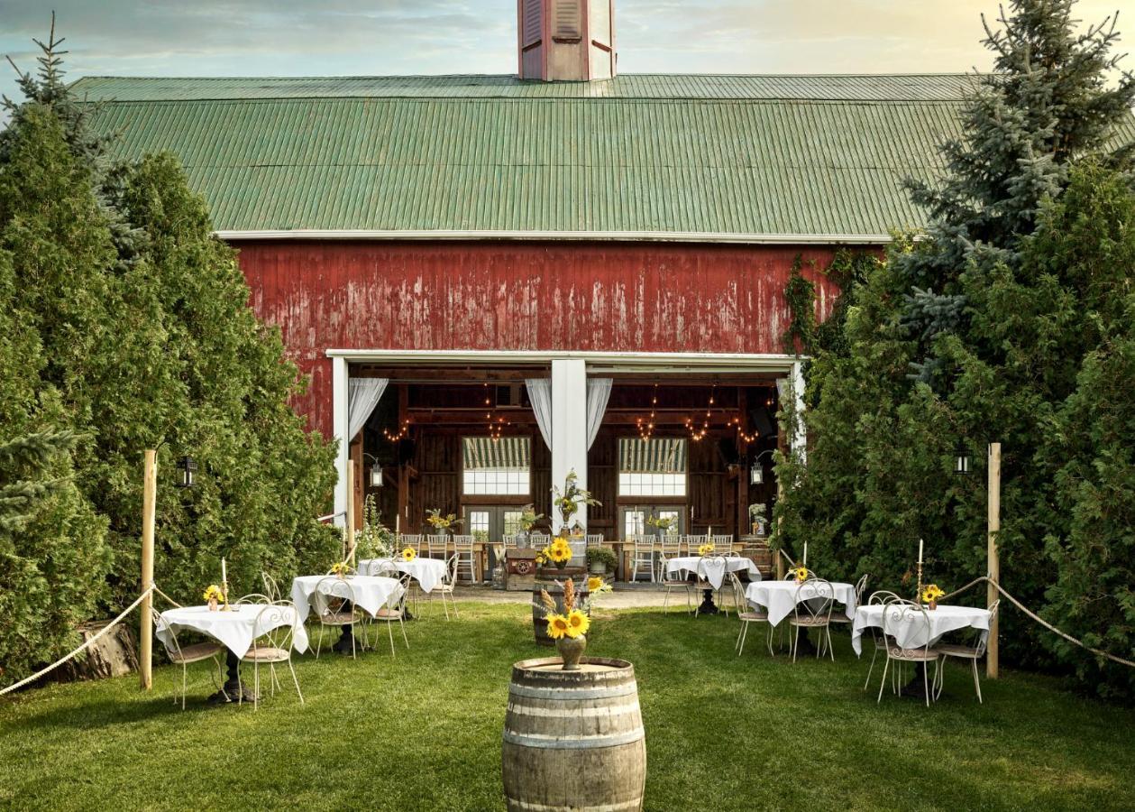 The Eddie And Farm Bloomfield